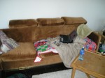 The couch I slept on