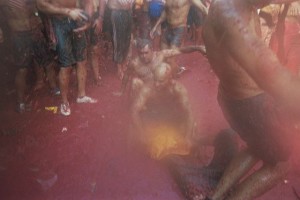 Tomato wrestling