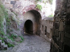 Entering the fortress