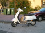 Cat on a vespa, possibly the most Italian photo ever taken