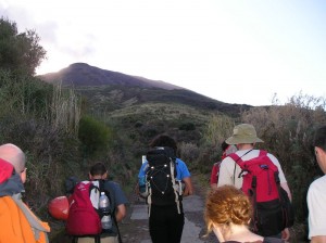 And we're off!