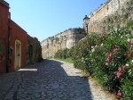 Castle and rose bushes